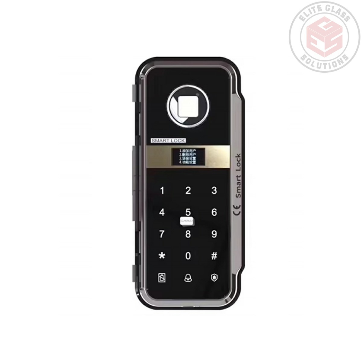 Black Smart Digital Glass Door Lock